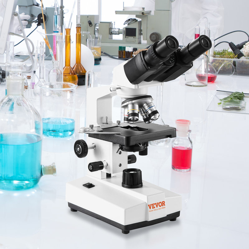 Compound Microscope