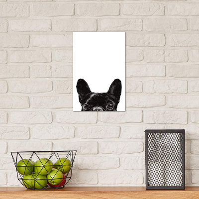 Peeking Bulldog by Big Nose Work - Wrapped Canvas Print