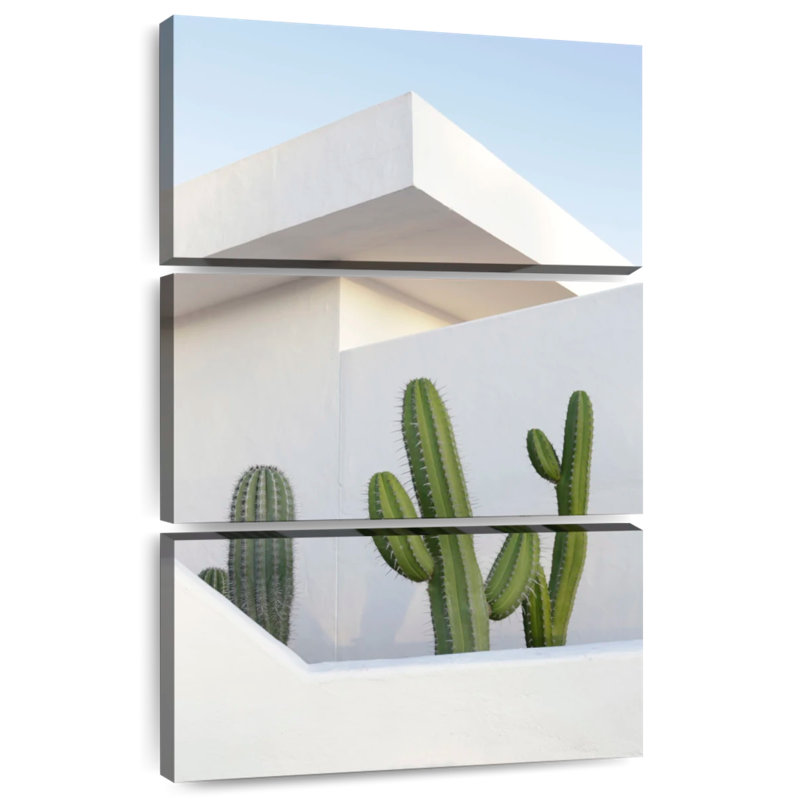 Cactus Harnek, H 32 po x l 20 po