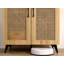 Rattan Storage Cabinet Double-Door Shoe Cabinet With Large Storage Space And Durable Structure 29.5Inch