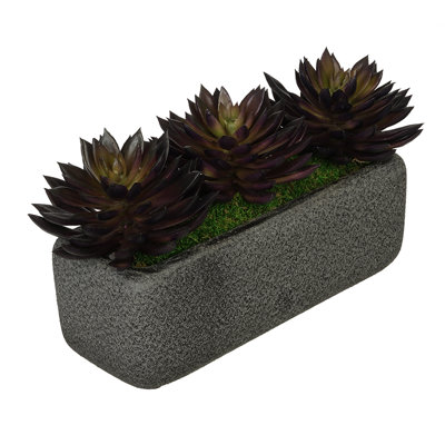 7'' Faux Echeveria (succulents) Succulent in Ceramic Decorative Vase