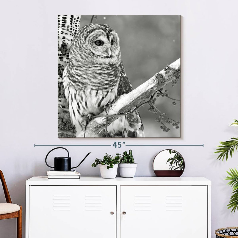 Hibou blanc Brampt BW, H 33 po x l 33 po