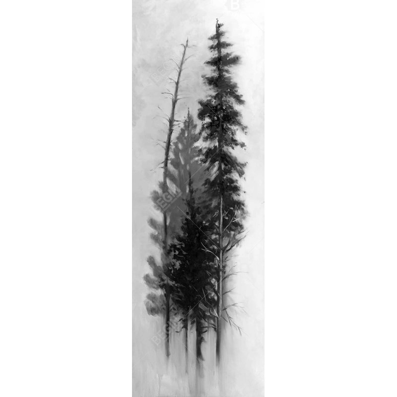 " Silhouette Of Trees "