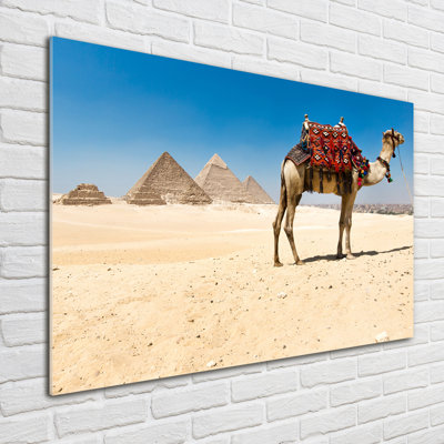 Camel In Cairo - Unframed Art Prints on Glass