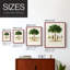 Arbre antique avec fruit, impression encadrée en bois massif-736782392-736782397