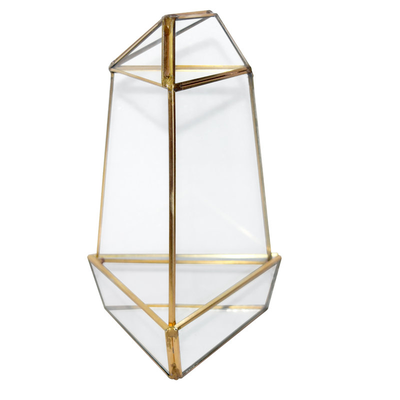 Terrarium en verre oblisk triangulaire, H 8 po x l 4 po x P 4 po, Noir