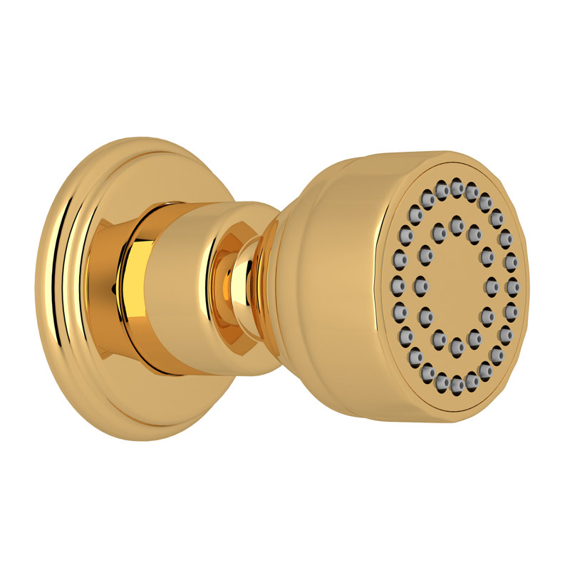 Adjustable Shower Head, English Gold