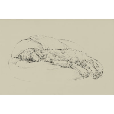 Golden Sketch I by Ethan Harper - Wrapped Canvas Print
