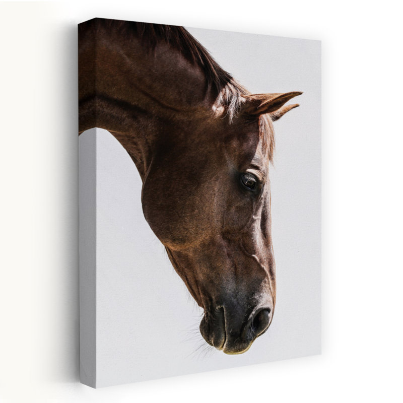Art contemporain Art cheval moderne, H 24 po x l 16 po