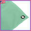 Tapisserie murale solide vert menthe - décoration murale solide-1077963048