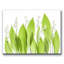 « lilly of the valley », reproduction de photo sur toile-29772113