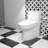 White Elongated One-Piece Ceramic Toilet, Dual Flush, Siphon Jet, 12" Rough-In