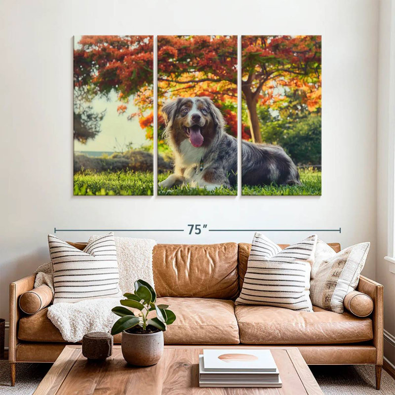 Brampt Cherry Border Collie, 42" H x 65" W
