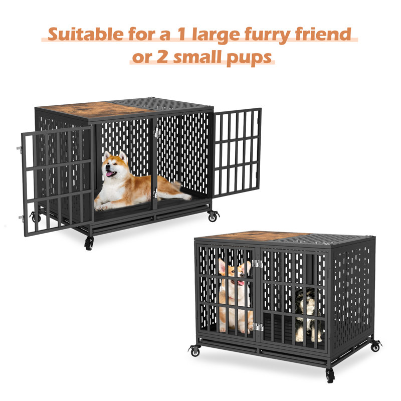 Cage pour chien Darrek, Brun, Grand (H 33,9 po x l 42,1 po x P 29 po), Non