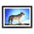 Black Framed selected