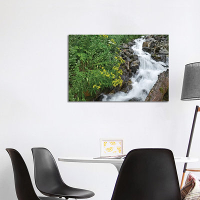 Creek Near Silverton, Colorado by Tim Fitzharris - Wrapped Canvas Print