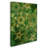 " Star Pattern Green And Gold " by Cora Niele-23103592