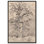 «Giant Oak at Forest», art vintage par Art Remedy