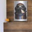 «Aviator Pug» par Thomas Fluharty-1627645795