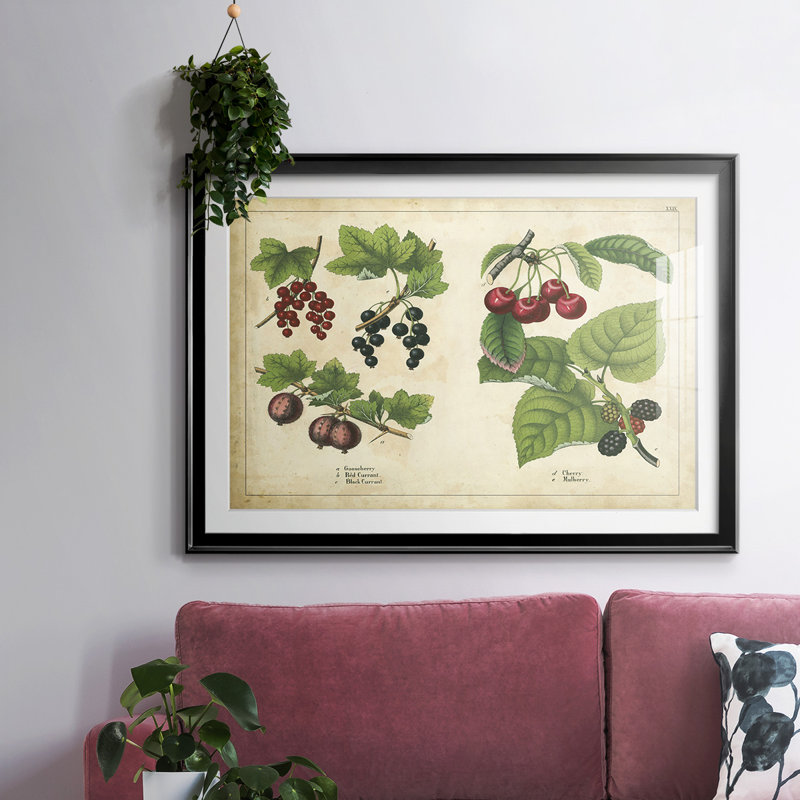 «Kitchen Fruits III», reproduction d'art encadrée, Noir, H 30 po x l 44 po x P 1,5 po