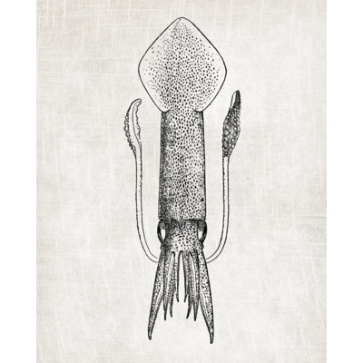 Squid Linen - Print on Canvas