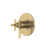 Antique Gold