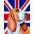 Basset hound (orange et blanc)
