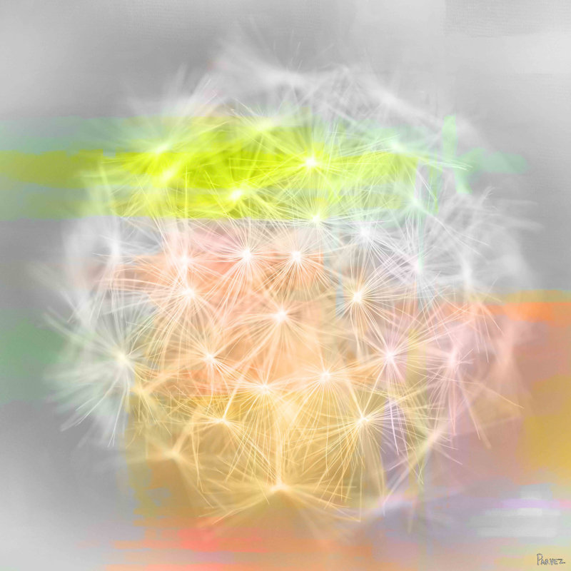 « taraxacum »-reproduction de photo sur toile tendue, H 32 po x l 32 po