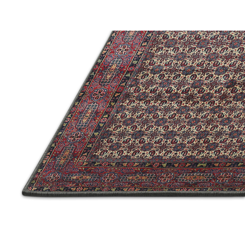 Zichichi Oriental Indoor Rug, Rectangle 3' x 5'