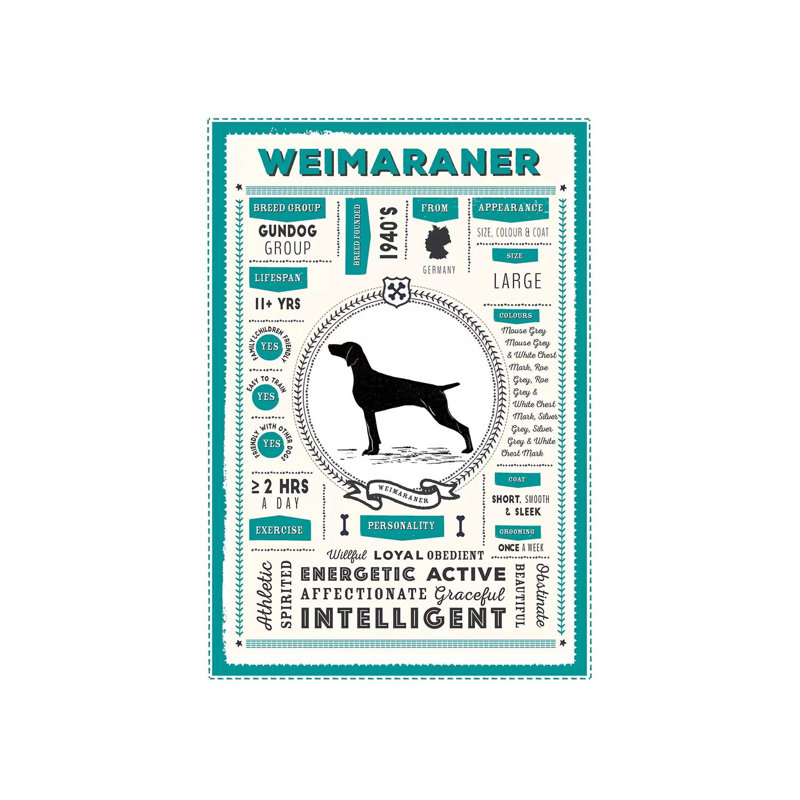 «Weimaraner Infographie Blue» par PaperPaintPixels, impression sur toile tendue, H 12 po x l 8 po x P 0,75 po