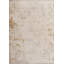 Rapture Abstract Area Rug-1738850140