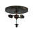 Rustic Lodge Glass Flush Mount