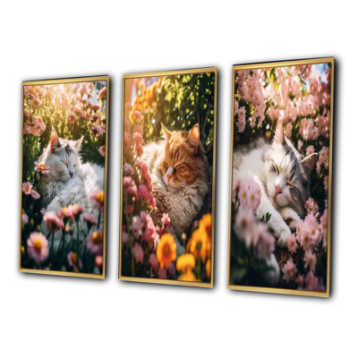 Fluffy Cat Sleeping Sunny Flower Garden III - Animals Cat Art Set Of 3 Pieces