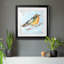 Reproduction encadrée Bird Premium IV - prêt à accrocher-23856305-23856317-23910886