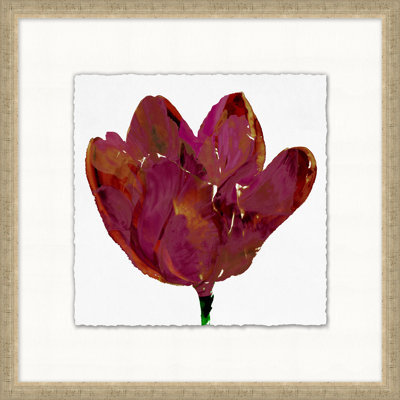 Études florales 6 - peinture encadrée