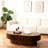 Oval Coffee Table