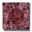 «Epic Graffiti» Flowersay 4 »par Art Licensing Studio, art mural sur toile, 37 po x 37 po-109180754