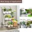 Amahni Plant Stand