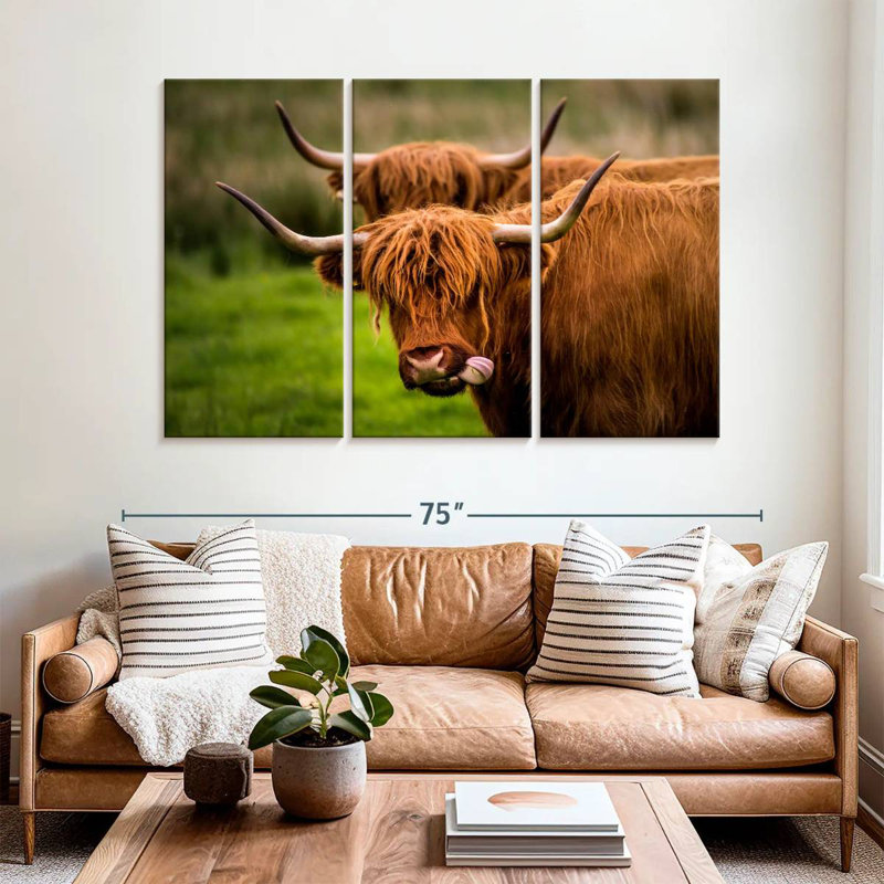 Brampt Fluffy Highland Cows, H 42 po x l 65 po