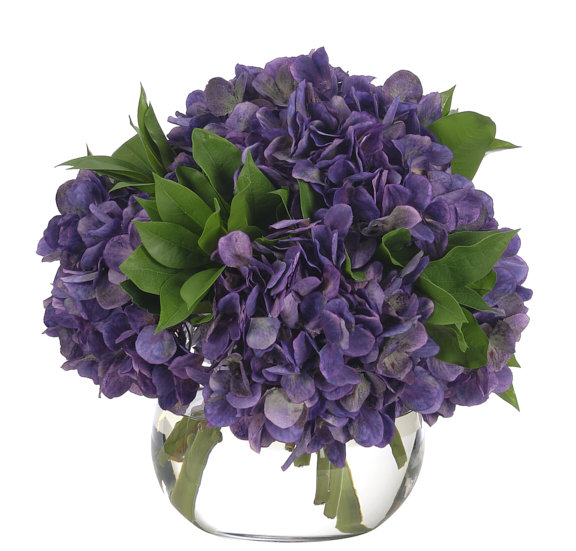 Purple Hydrangea in Glass Vase