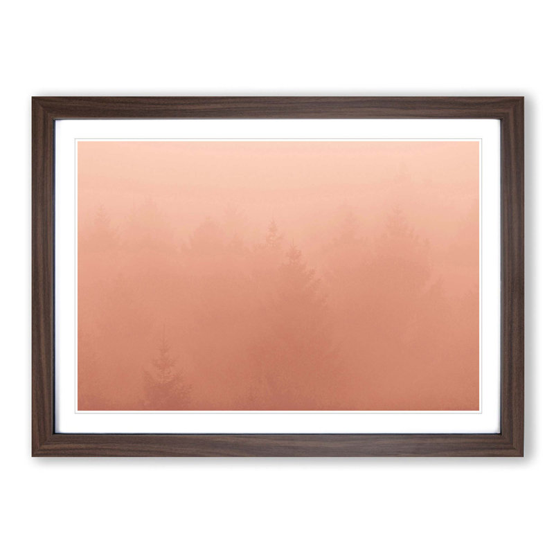 Forest in a Pink Mist - Picture Frame Photograph Print, 27cm H x 36cm W x 2cm D, Walnut Framed
