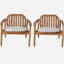 Fauteuil club avec coussin Meja, ensemble de 2