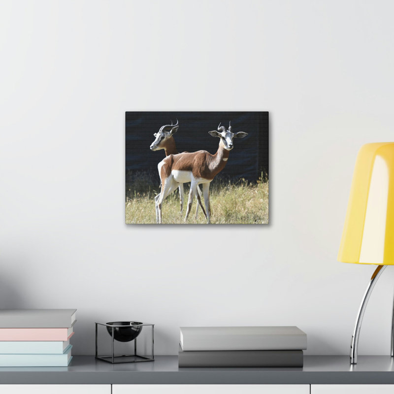 No Frame Print on Canvas, 27.94cm H x 35.56cm W