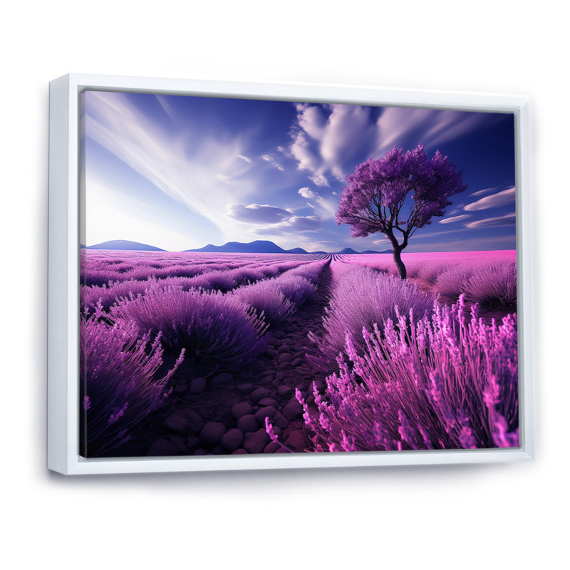 France Lavender Fields Symphony - impression, H 12 po x l 20 po x P 1 po, Cadre flottant blanc