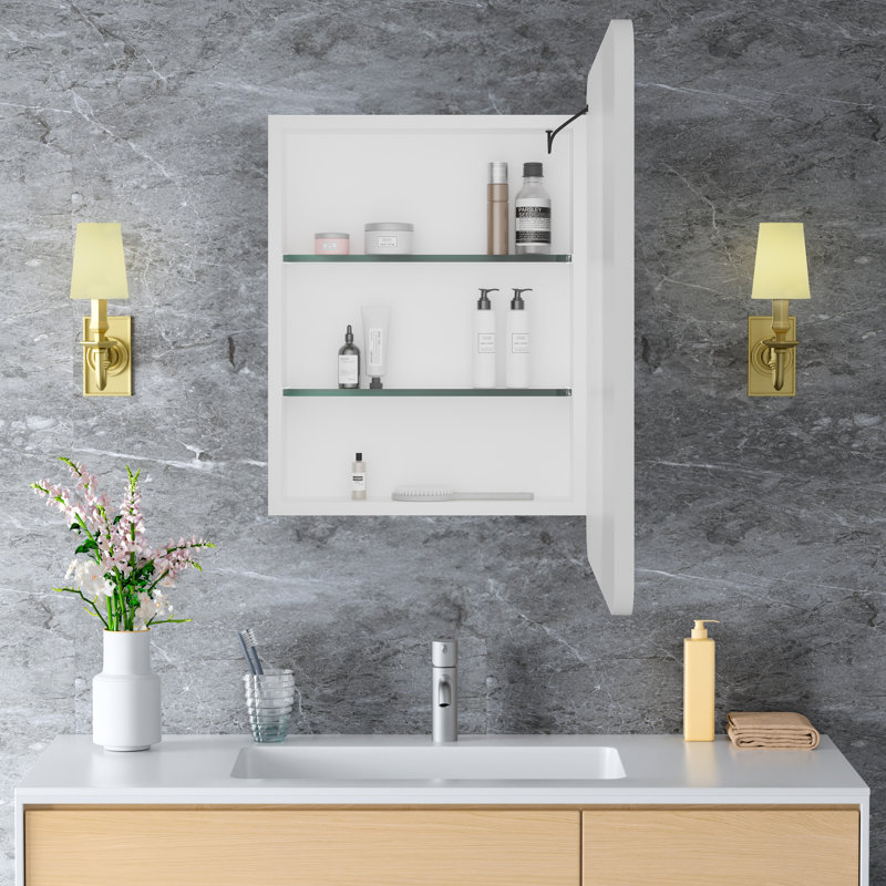 20" W x 28" H Fruzsina Modern Iron Framed Surface/Recessed Mount Medicine Cabinet with Mirror, Adjustable Glass Shelves, Dimmable Lighting, Anti-Fog and Memory Function for Makeup, Shaving or Bathroom Vanity Storage
