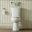 19.5''Tall Comfortable SeatHeight Round Two-Piece Floor Mounted Toilet (Seat Included)-100864812