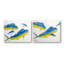 Mahi Set By John Beard - Gallery Wrapped Canvas Print Print by John Beard-847648905-847648908-847648910