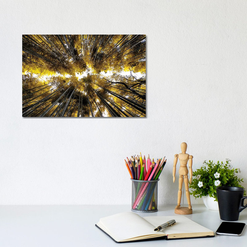 Arashiyama Bamboo Forest I 1 Piece Wrapped Canvas Wall Art, 20.32 cm H x 30.48 cm W