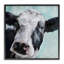 «Gentle Farm Cow», impression