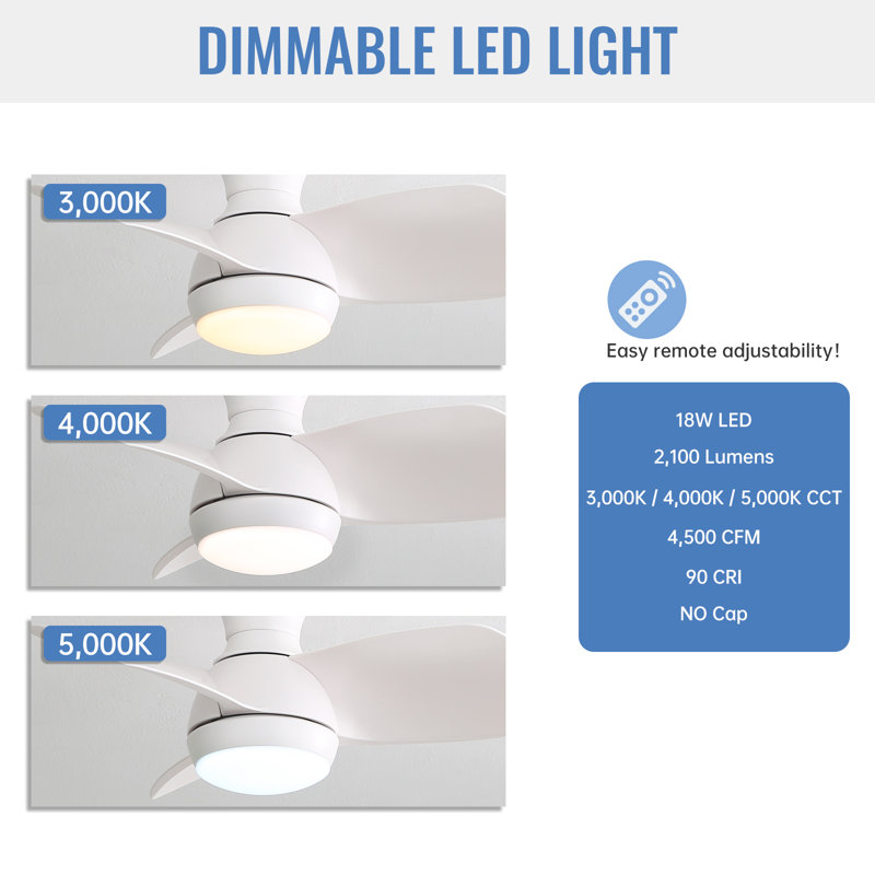58CM Classic Three ABS Blades Ceiling Fan With LED Lights, White, White